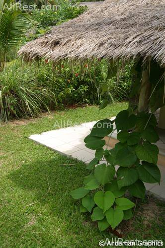 Koyao Island Resort 39